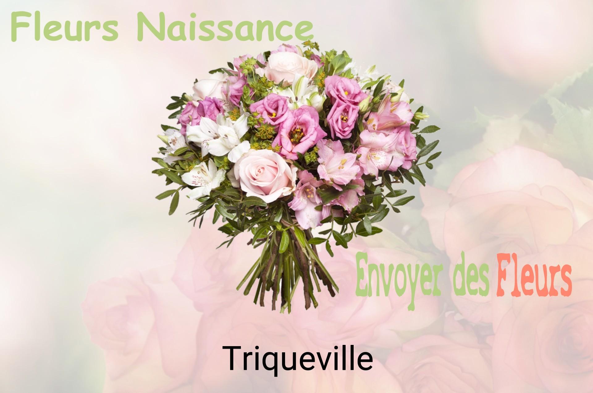 Bouquet de fleurs de naissance livré à Triqueville