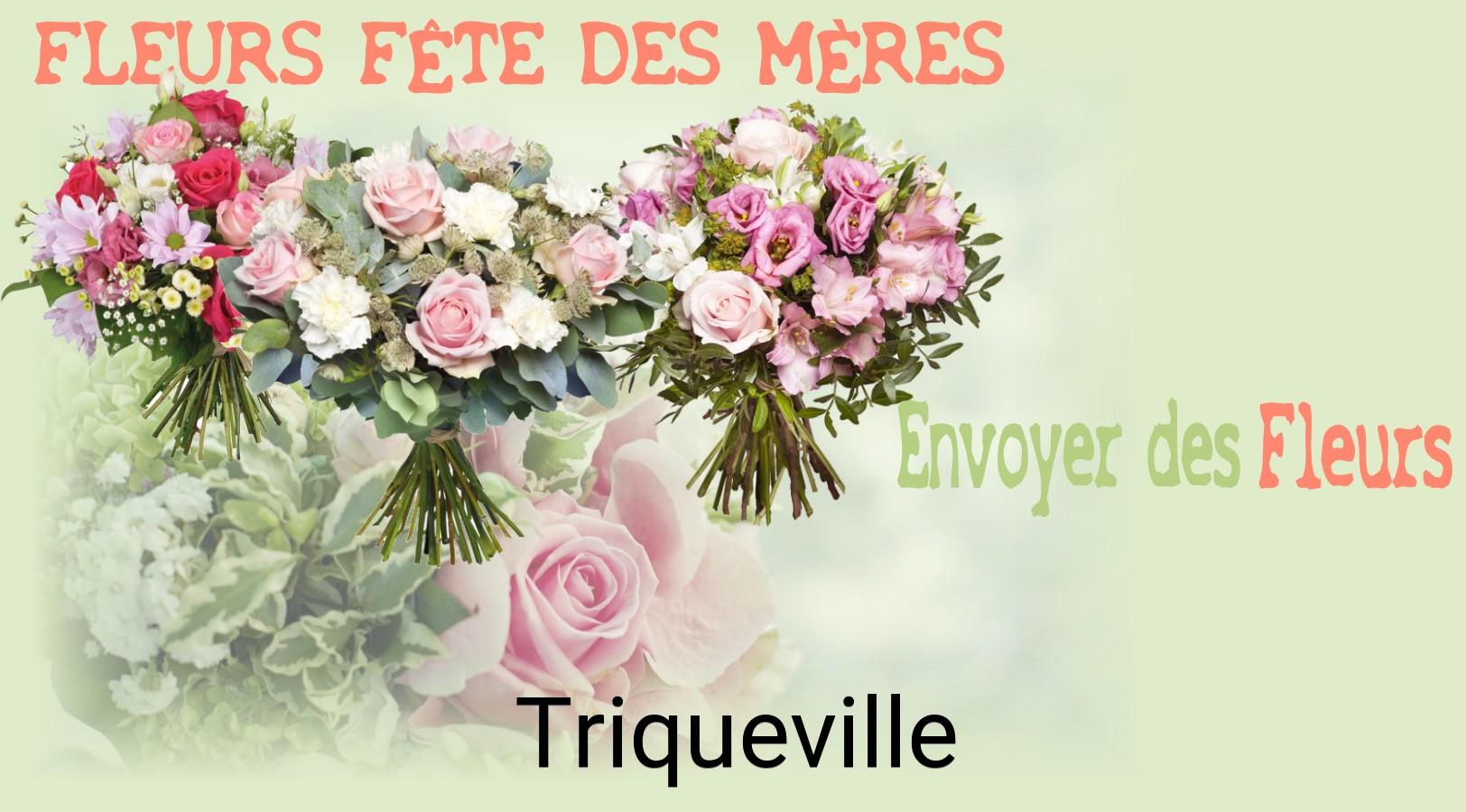 Bouquet de Fête des Mères livré à Triqueville